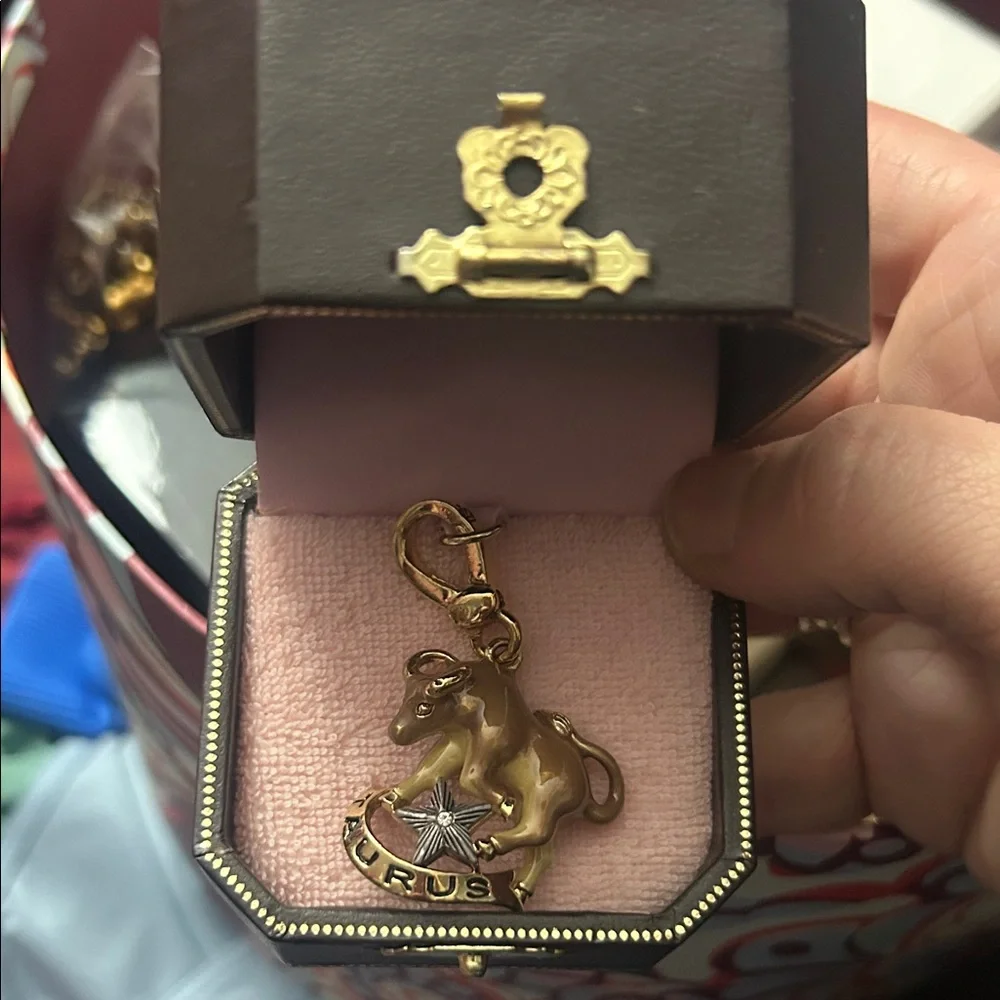 Taurus Key Charm Taurus Keyring Zodiac Keychain Luna Soul